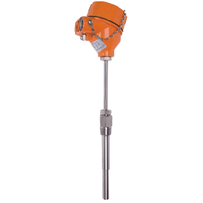 Kobold Resistance Thermometer, TWL-Exd